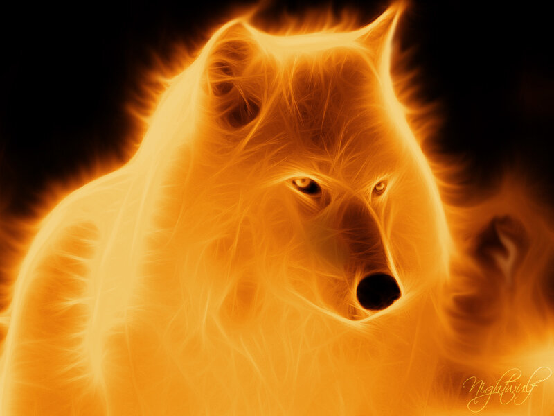 Flame Wolf — Orange