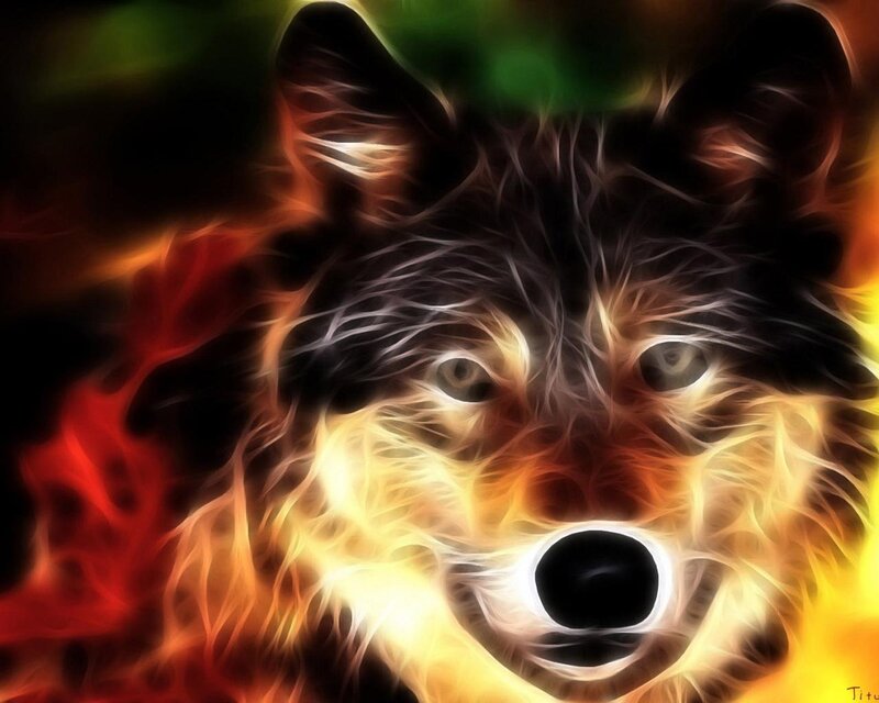 flame wolf portrait