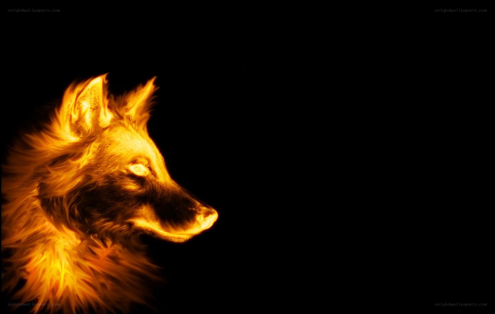 flame wolf silhouette