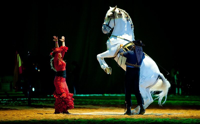 Flamenco and horse performance