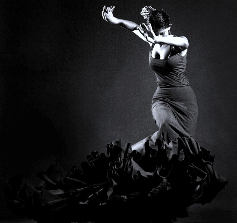 Flamenco Dancer in Motion — Black