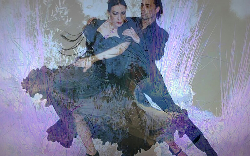 Flamenco Dancers in Motion