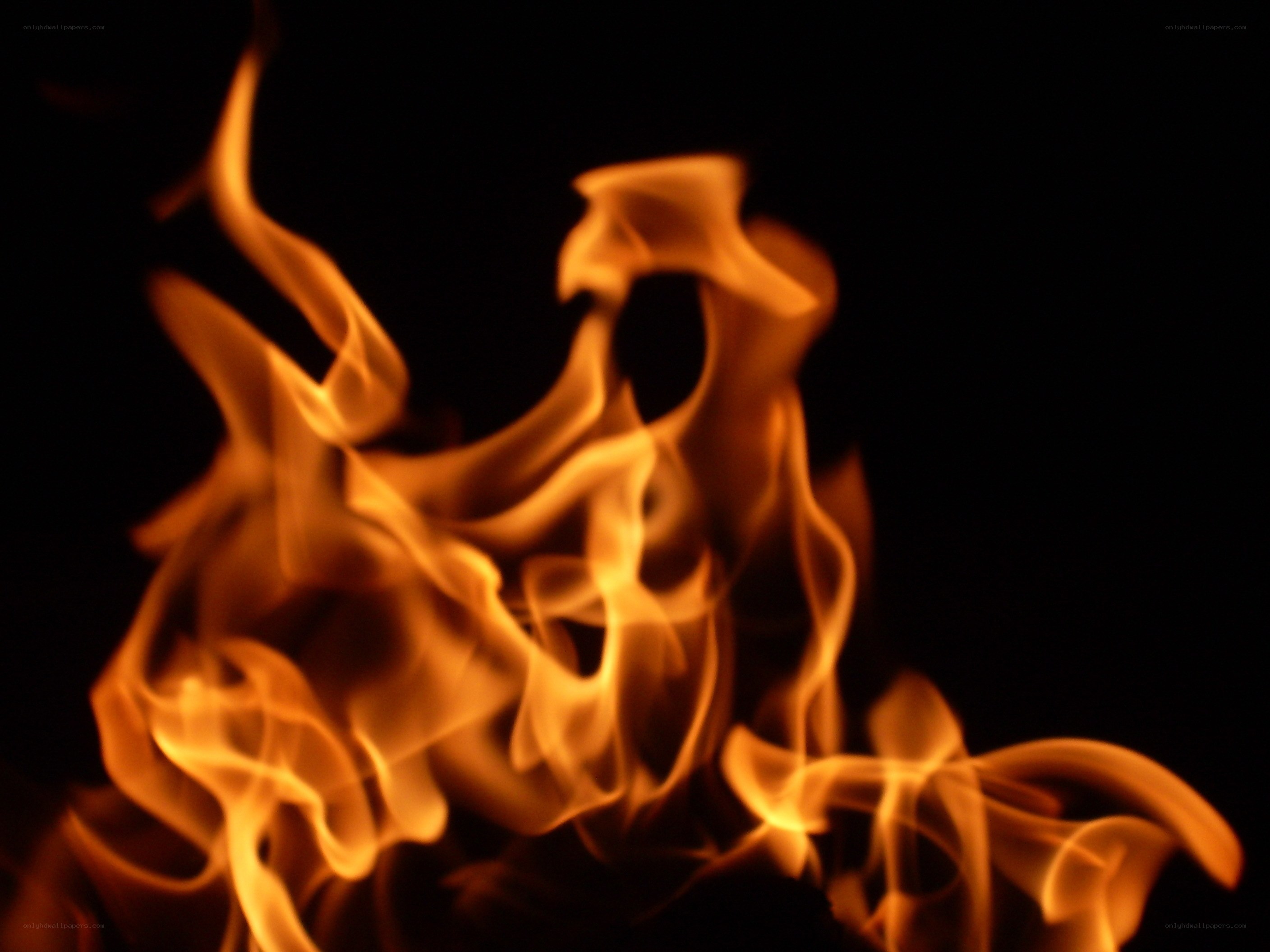 flames against black background