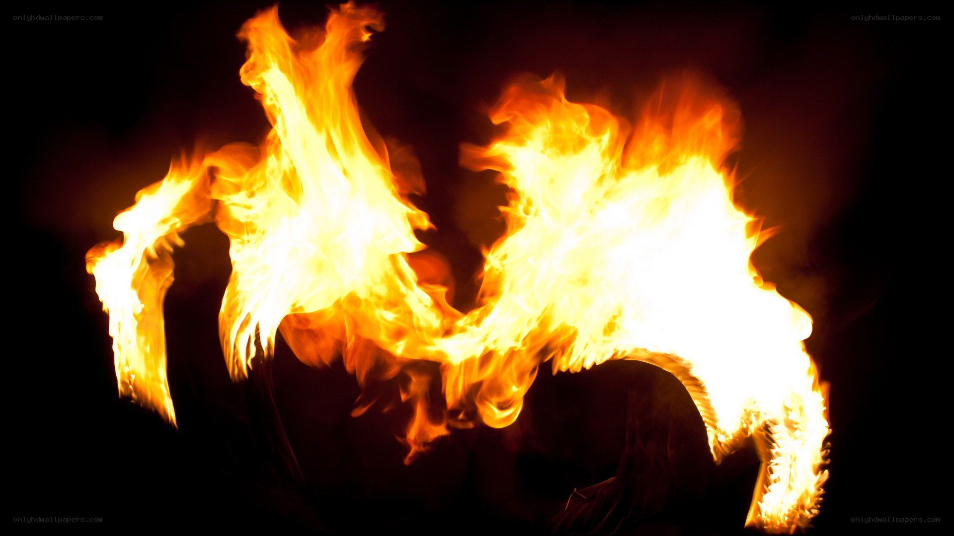 Flames forming a dragon shape