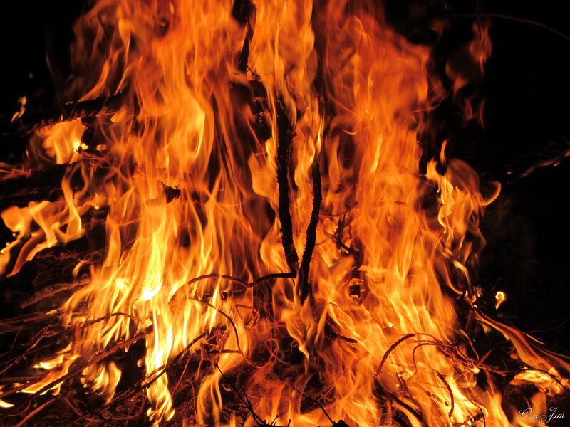 Flames in a Bonfire — Orange