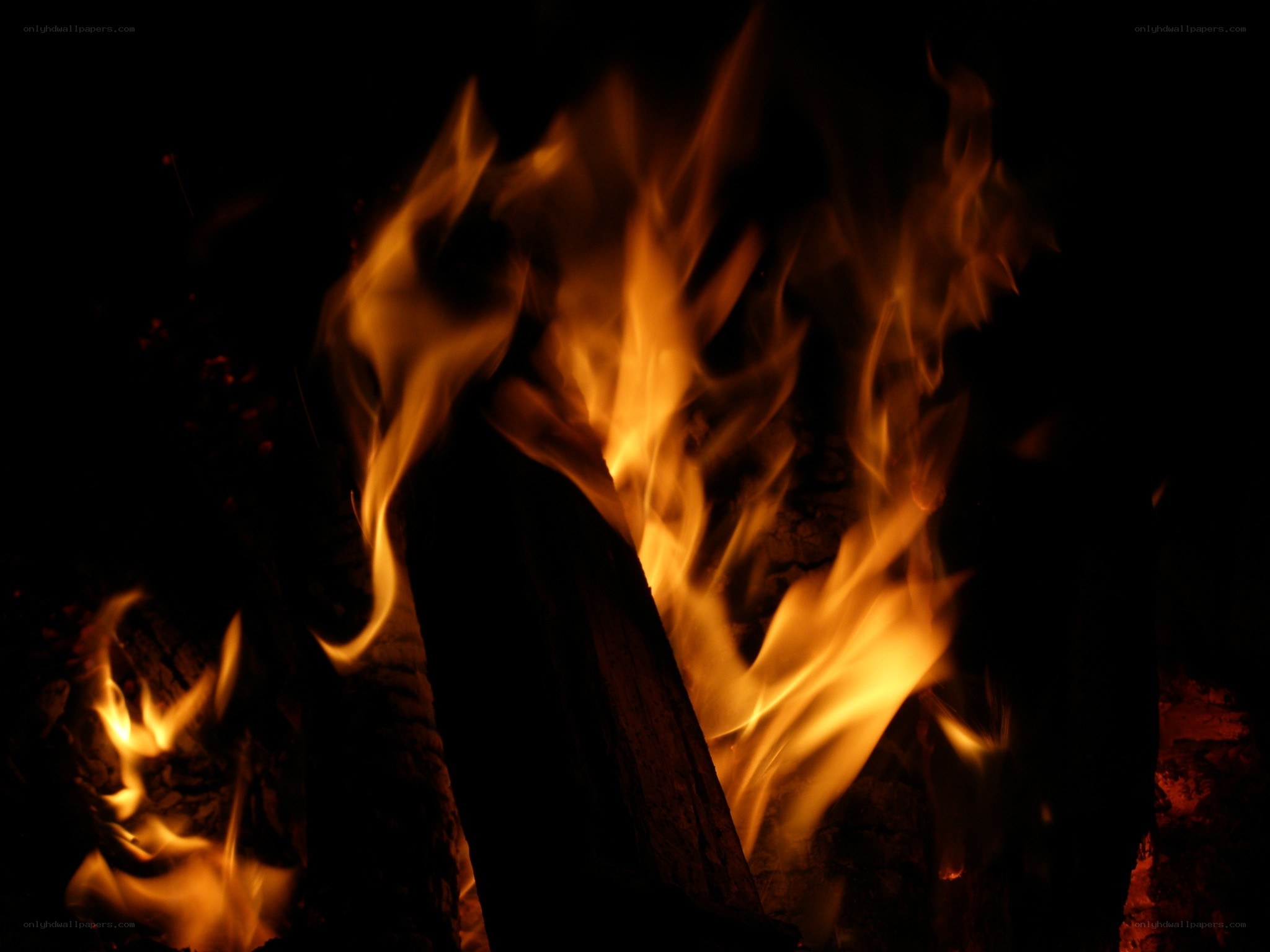 Flames in a dark setting