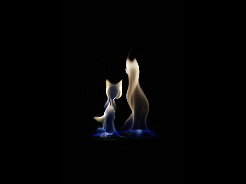 Flames shaped like cats