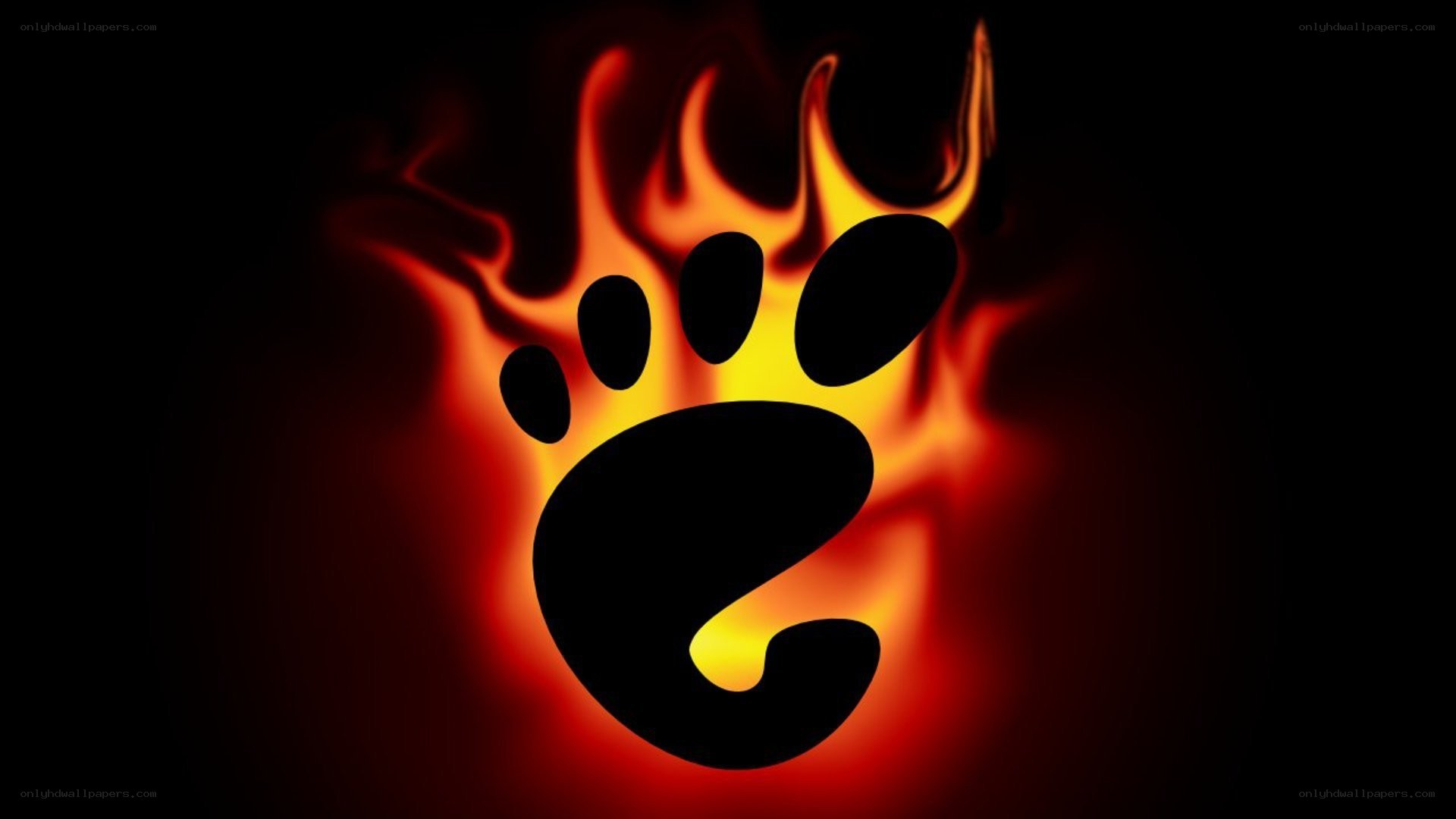 flaming bear paw logo