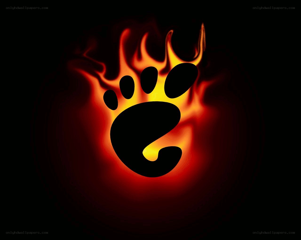 flaming bear paw print