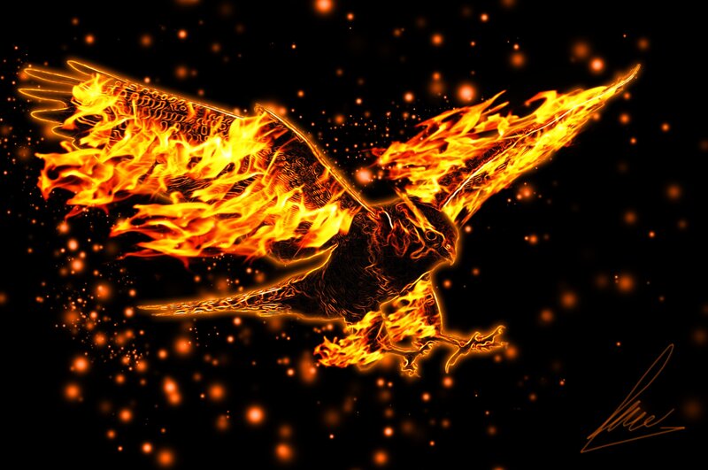 Flaming Bird in Flight — Black, Dramatic, Night, Digital Art
