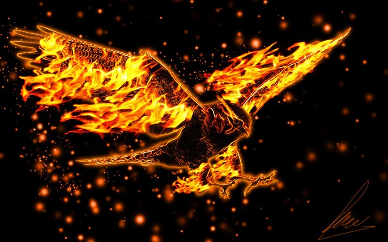 Flaming Bird in Flight — Black, Dramatic