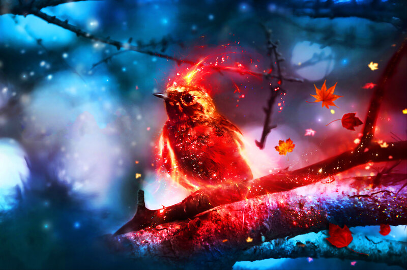Flaming Bird on Branch