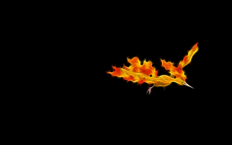 Flaming Bird