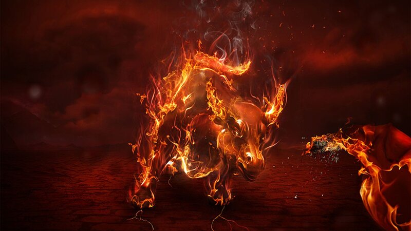 Flaming Bull
