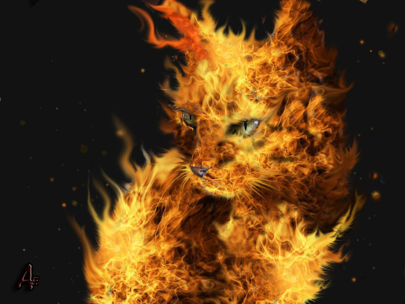Flaming Cat