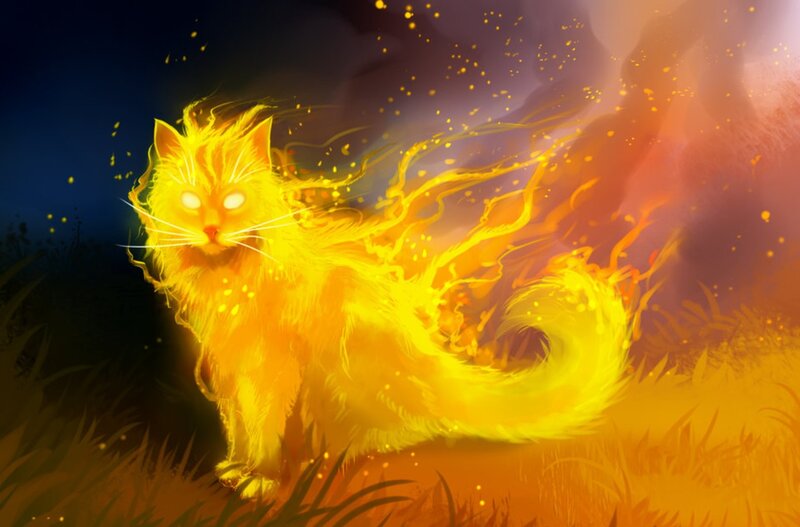 Flaming Cat — Yellow
