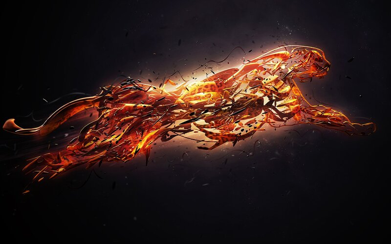 Flaming Cheetah — Orange, Dramatic