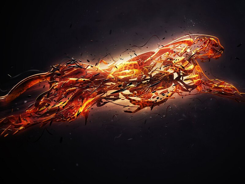 Flaming Cheetah — Orange