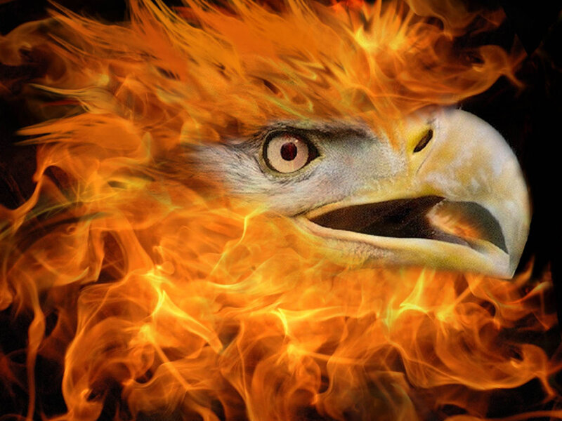 flaming eagle head