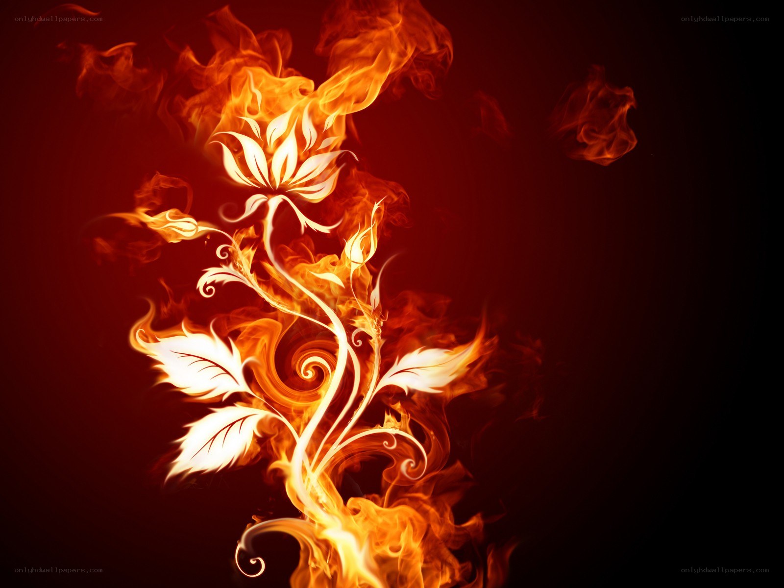 Flaming floral design