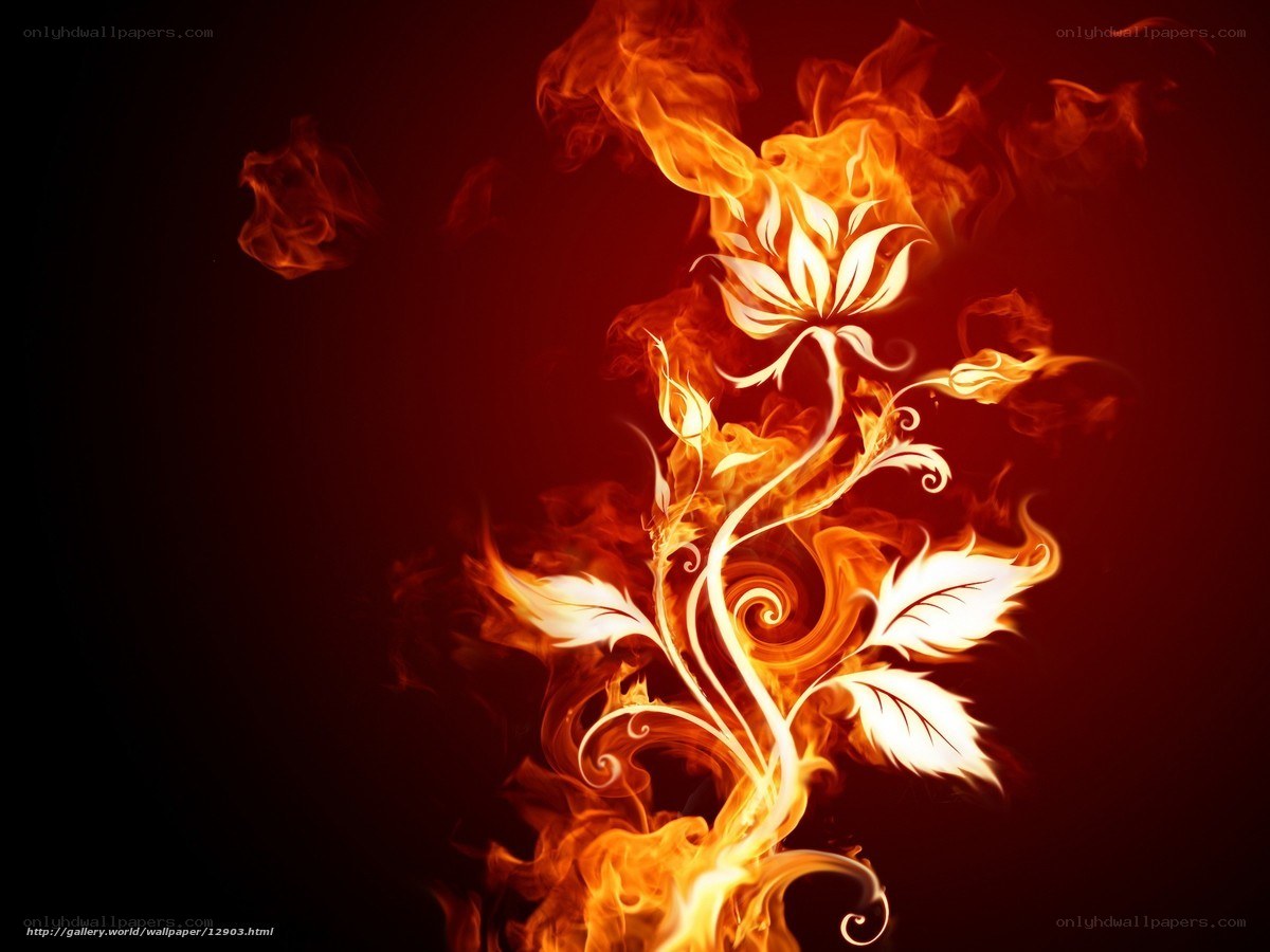 Flaming floral design
