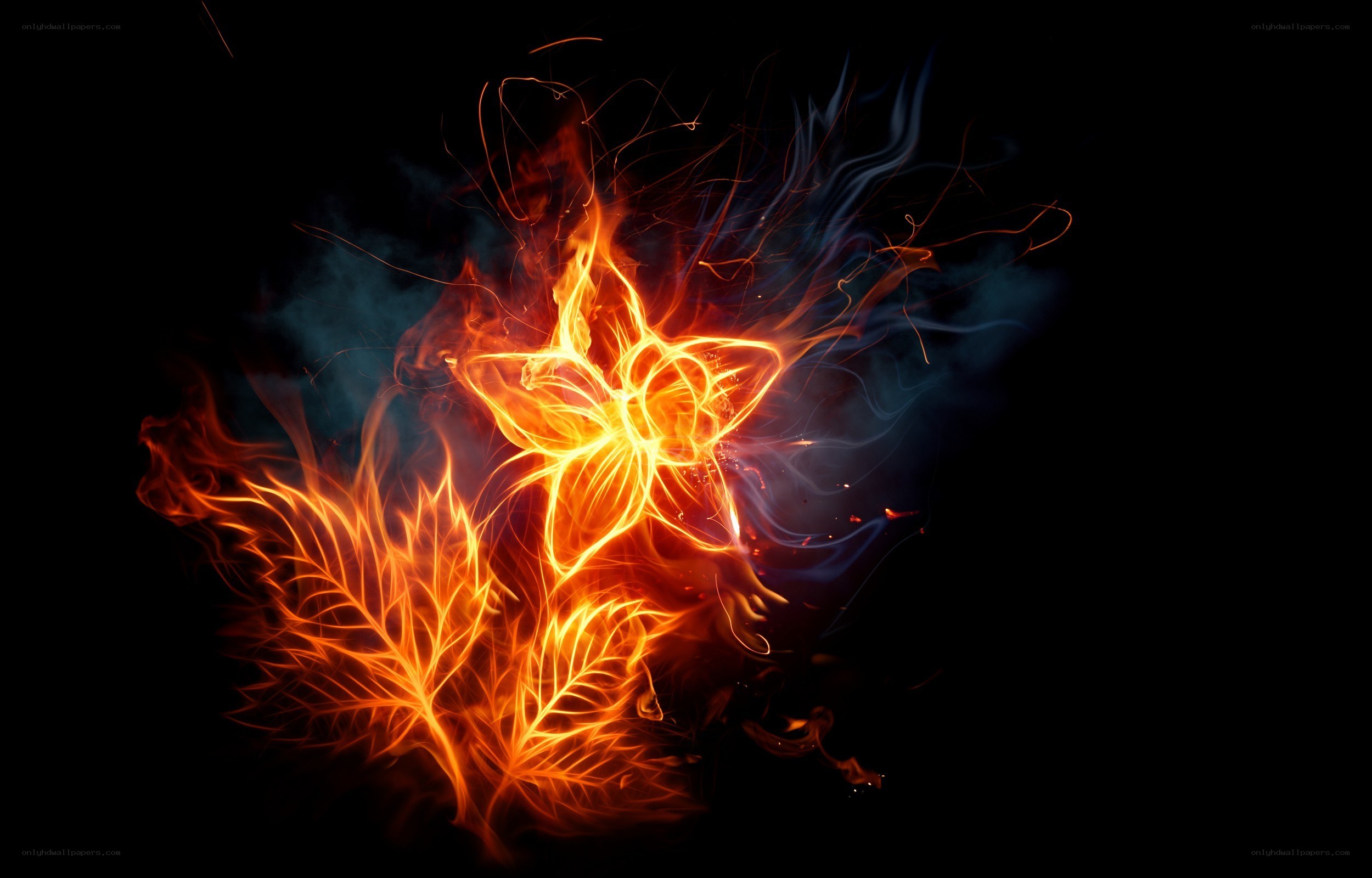 Flaming flower and leaf