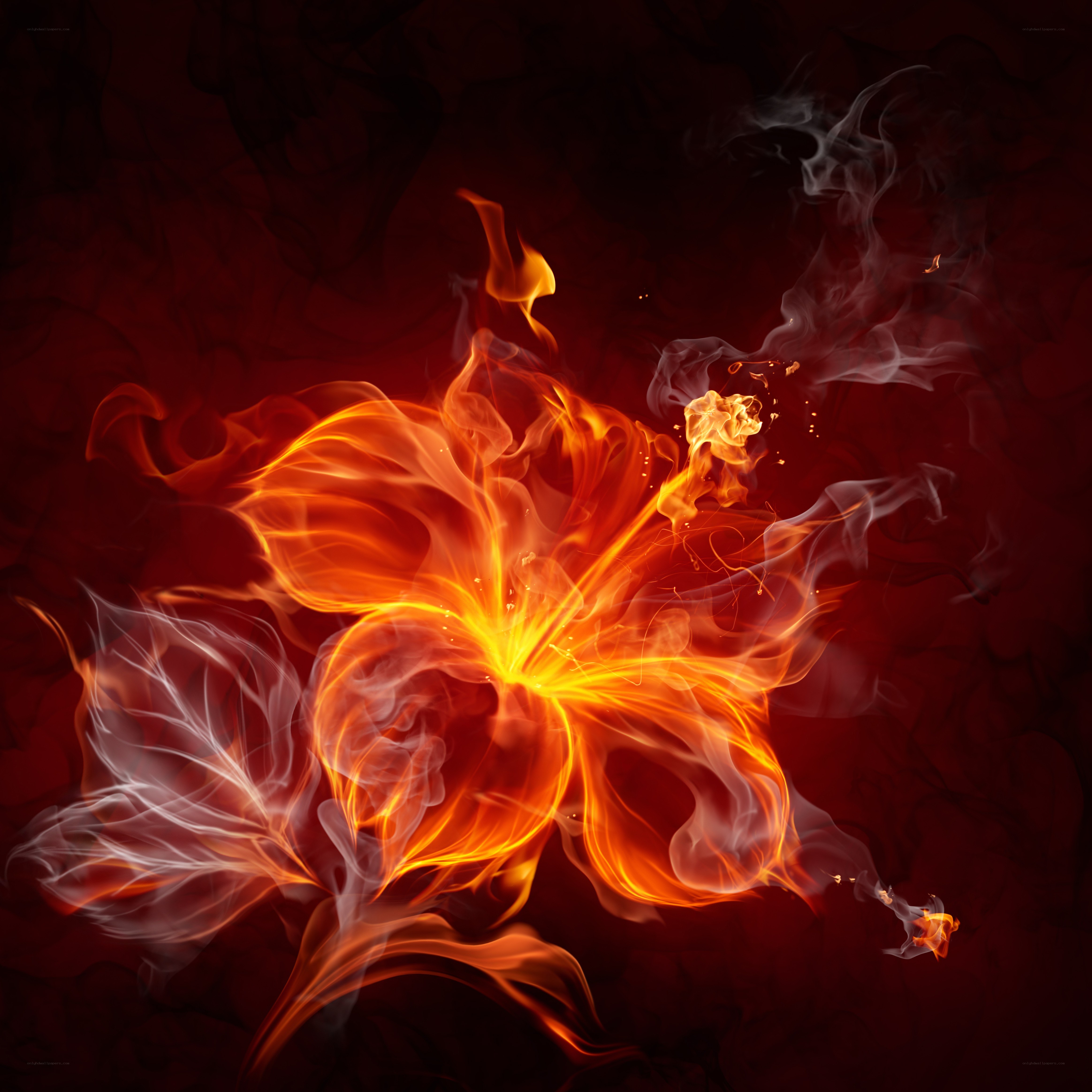 Flaming flower art