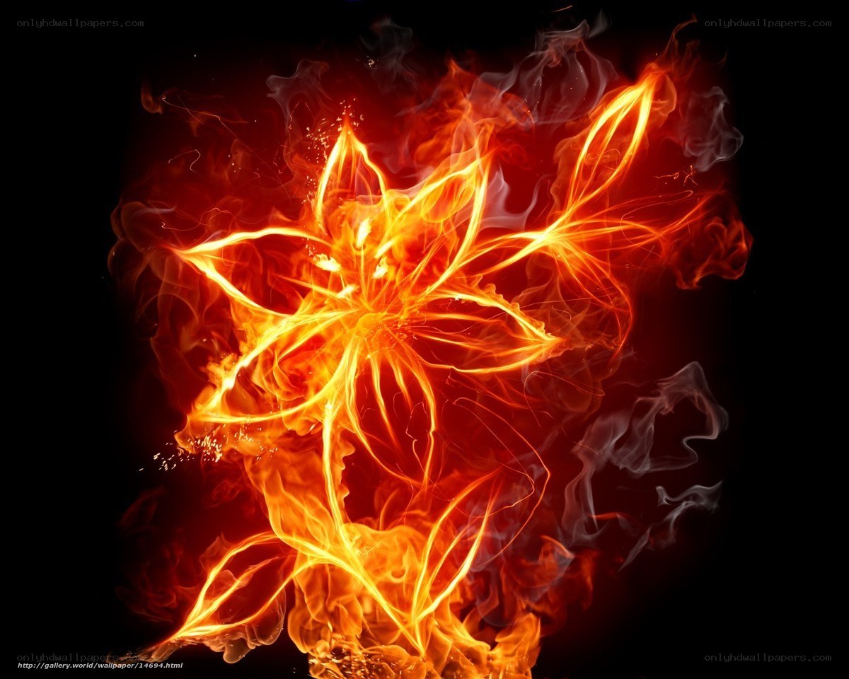 Flaming flower design