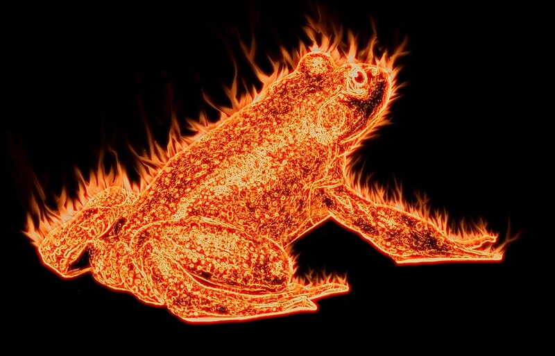 Flaming Frog