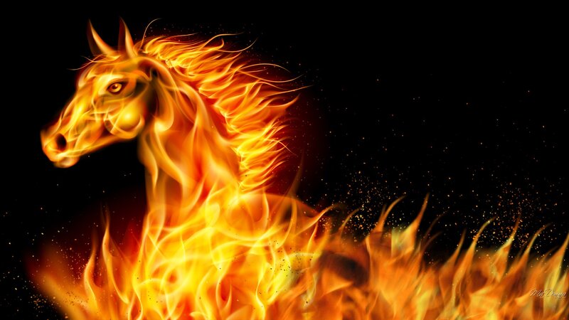 Flaming Horse Head