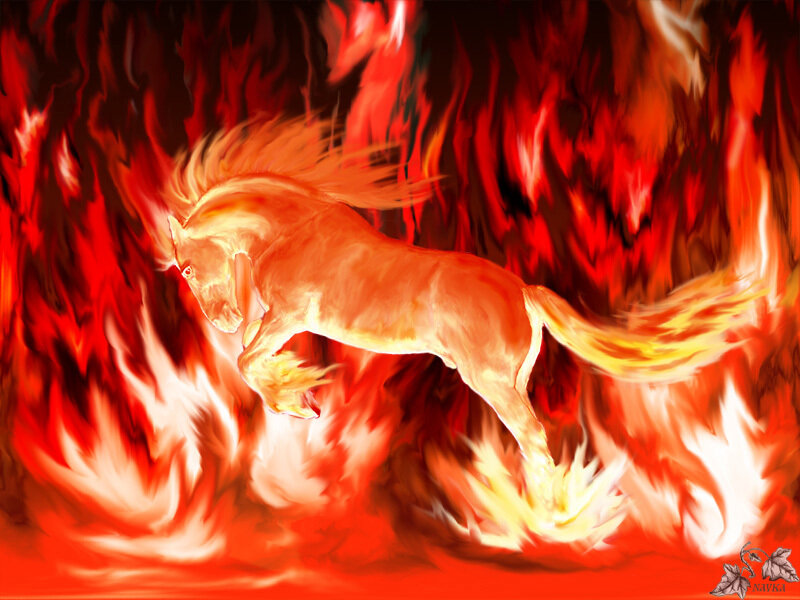flaming horse in fire
