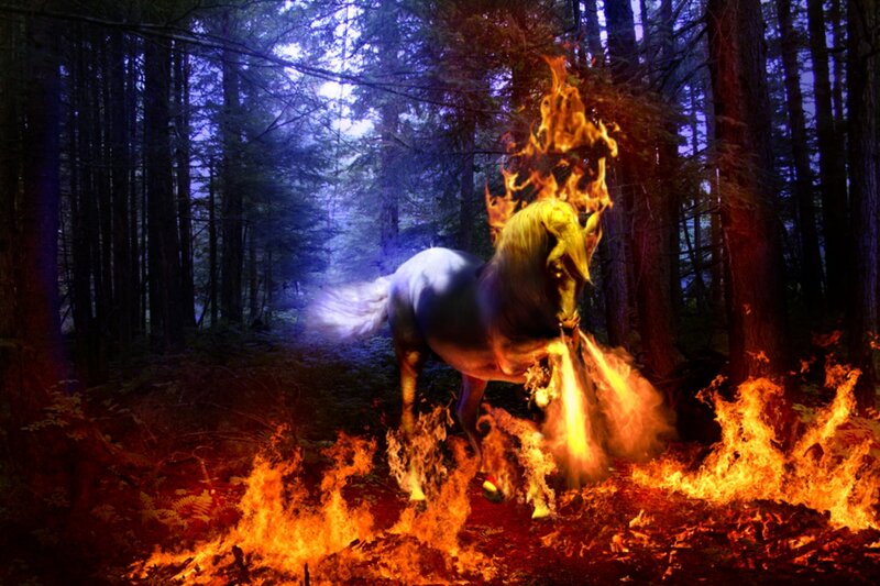 Flaming Horse in Forest