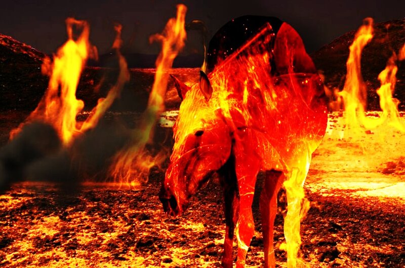 Flaming Horse in Lava