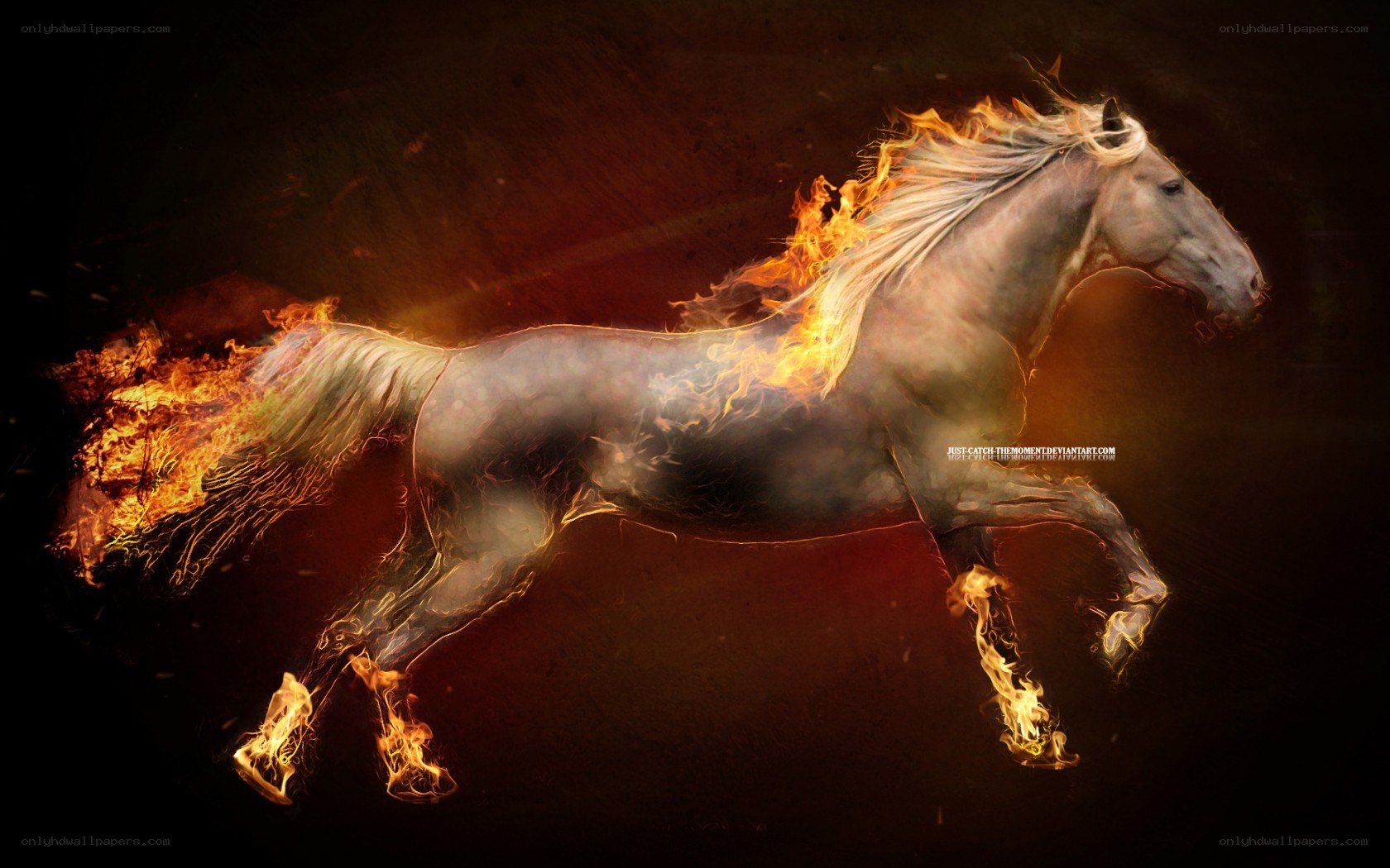 flaming horse in motion