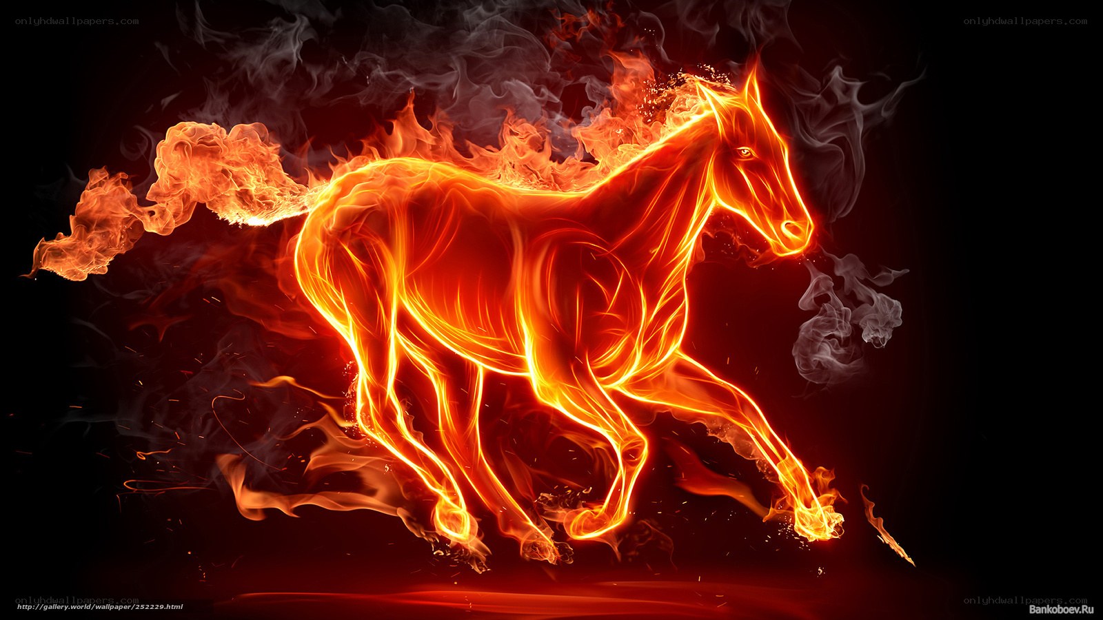 flaming horse in motion