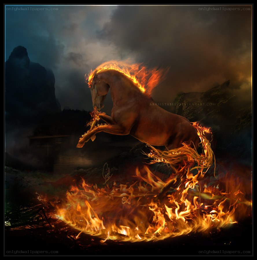 flaming horse rearing