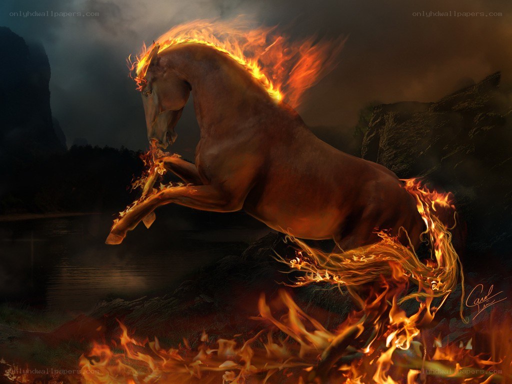flaming horse rearing