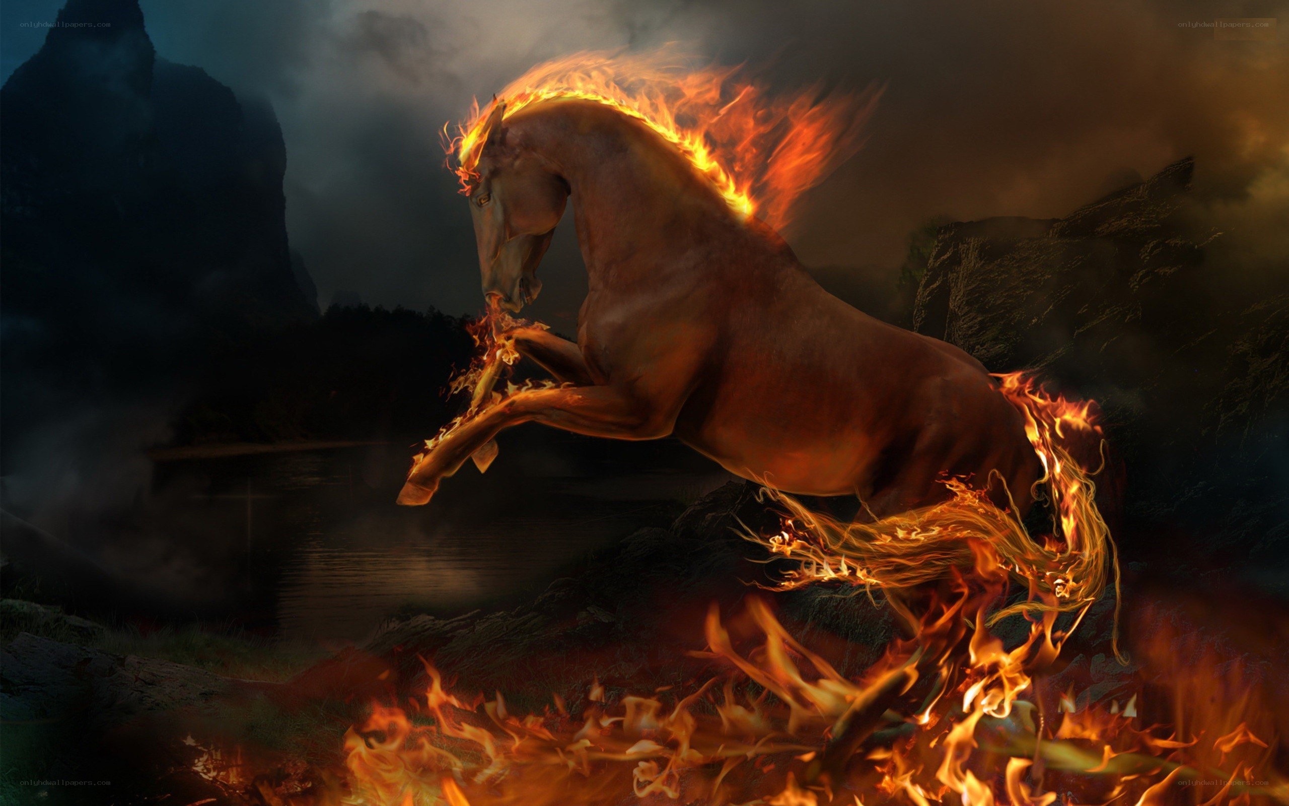 flaming horse rearing
