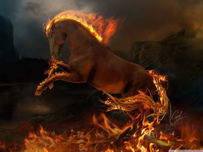 flaming horse rearing