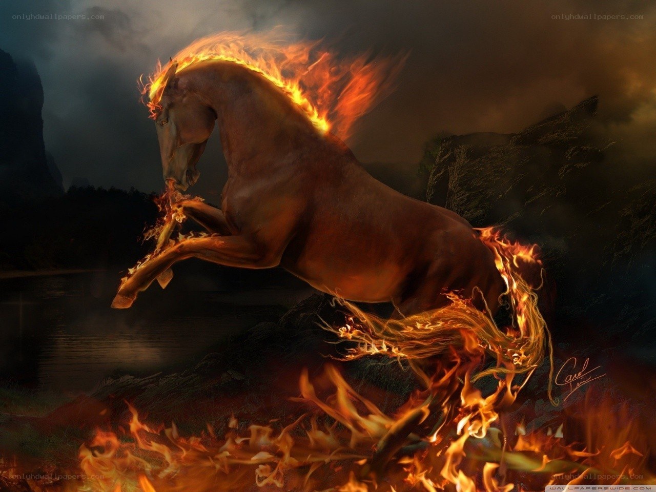 flaming horse rearing