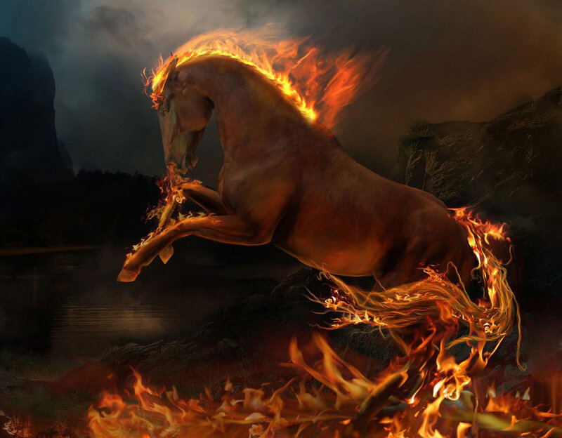 Flaming Horse Rearing — Orange
