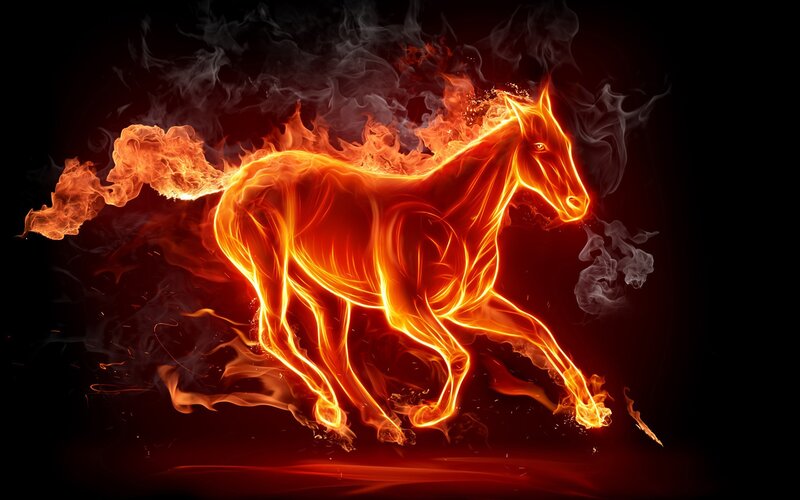 flaming horse running