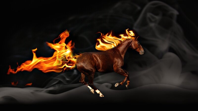 flaming horse running