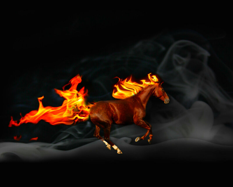 Flaming Horse Running — Black, Dramatic, Night
