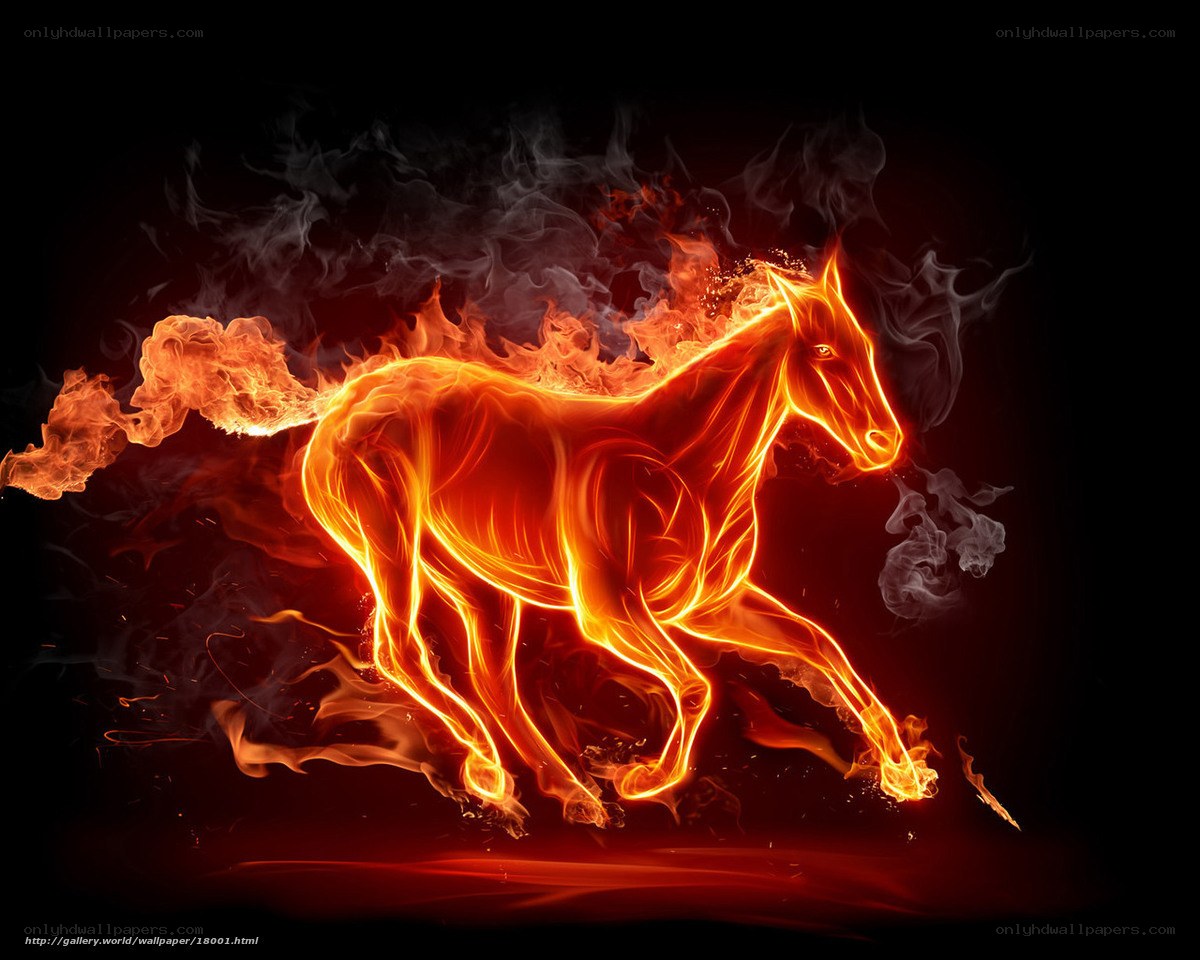 flaming horse running