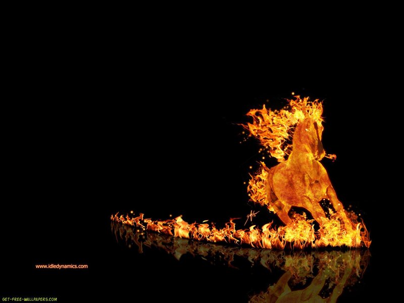 flaming horse wallpaper