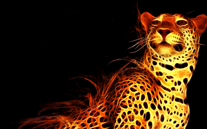 Flaming Leopard