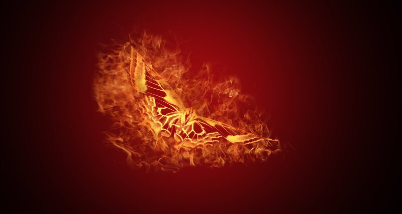 Flaming Moth