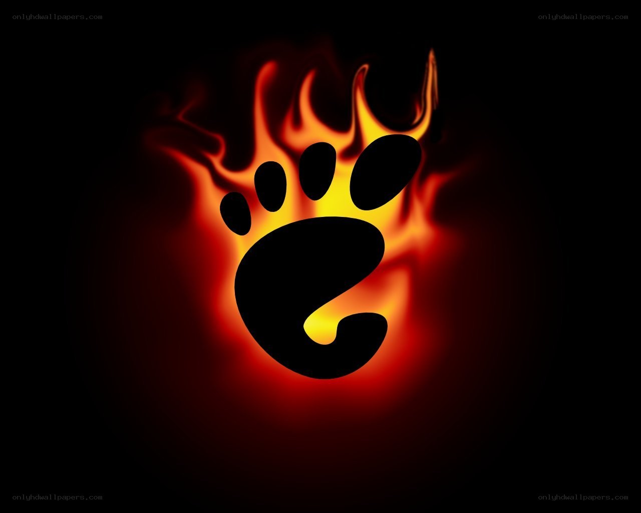flaming paw print logo