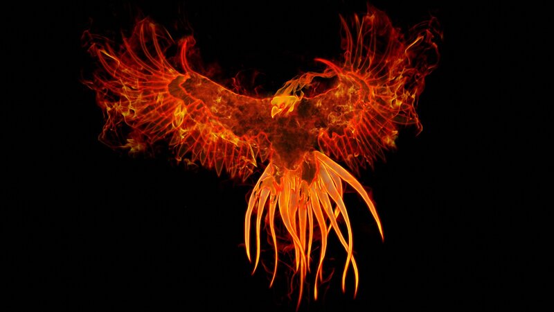 flaming phoenix bird